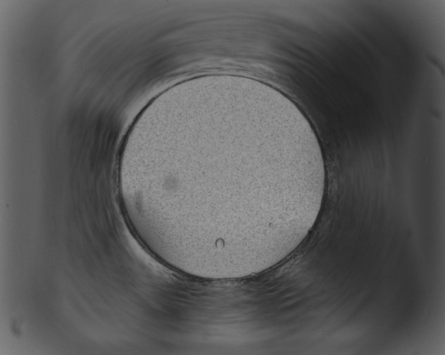 X0000103221531200809251123