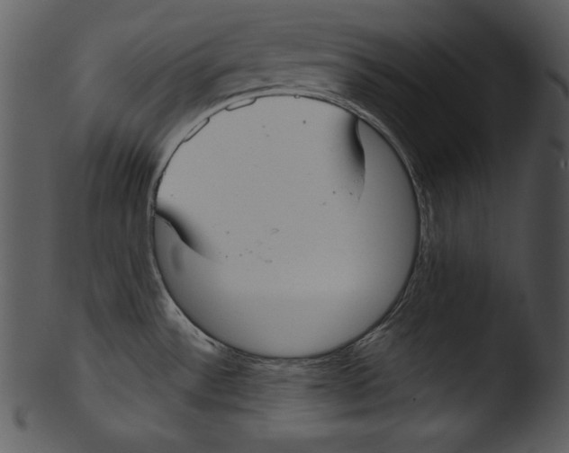 X0000103221532200809251123