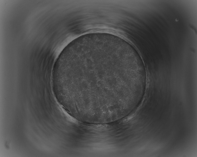 X0000103221533200809251123