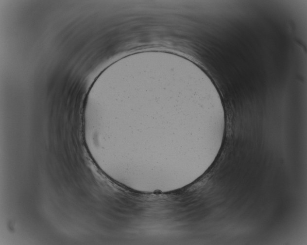 X0000103221534200809251123