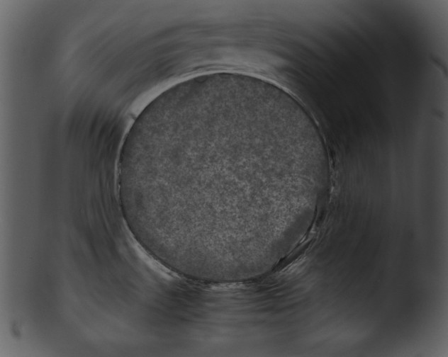 X0000103221535200809251123