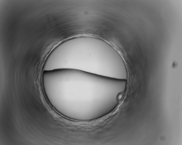 X0000103230001200808281001