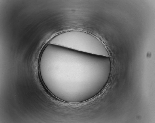 X0000103230002200808281001