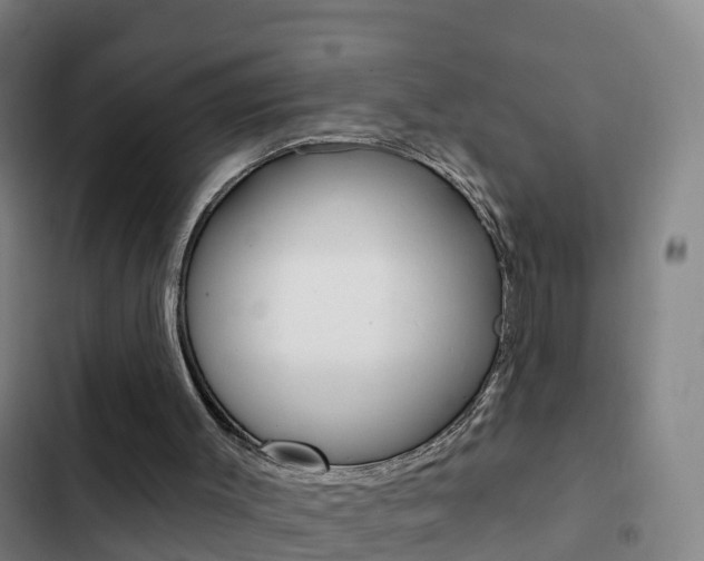 X0000103230003200808281001
