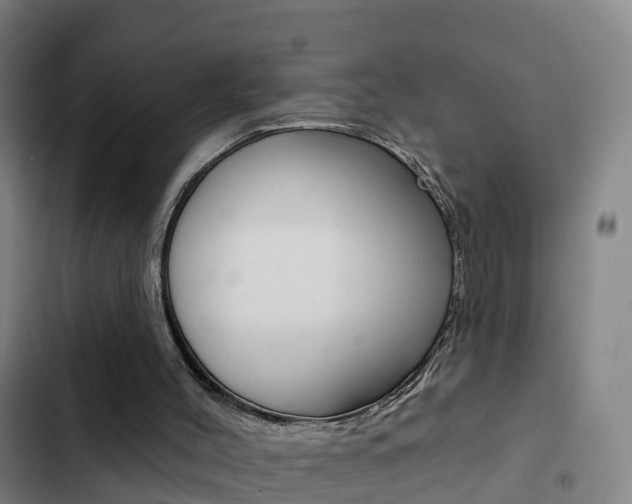 X0000103230004200808281001