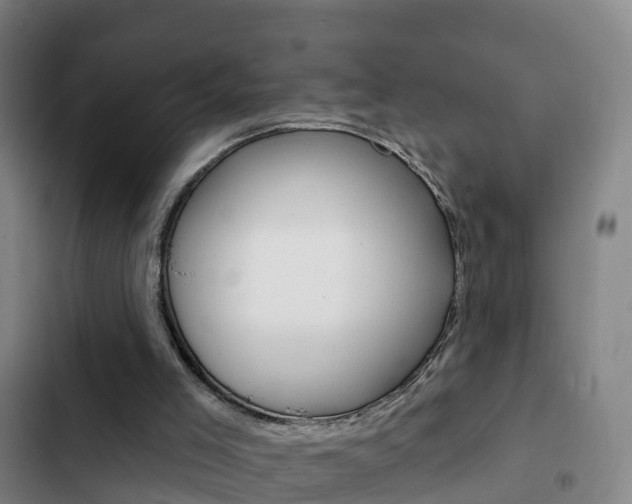 X0000103230005200808281001