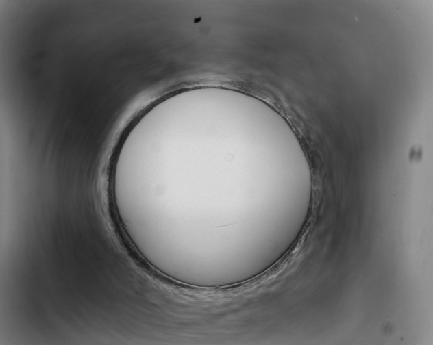 X0000103230006200808281001