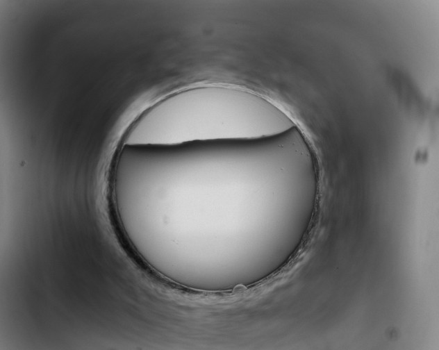 X0000103230007200808281001