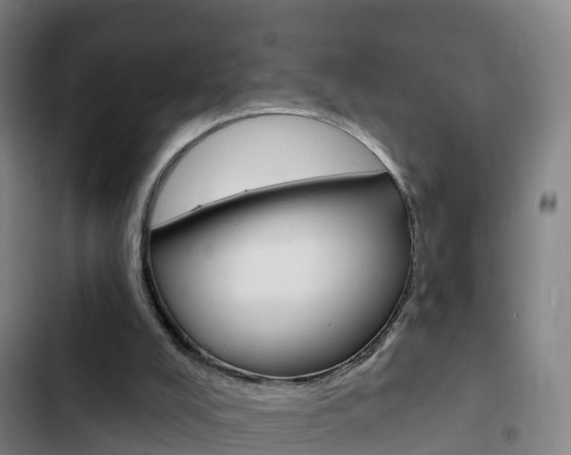 X0000103230008200808281001