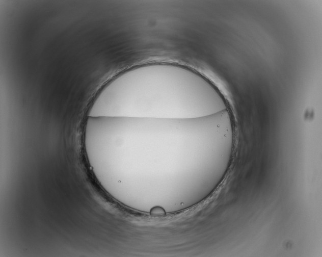 X0000103230009200808281001