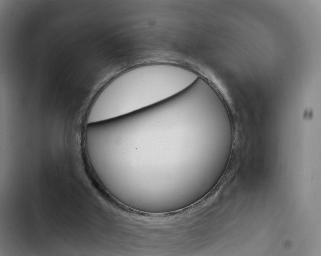 X0000103230010200808281001