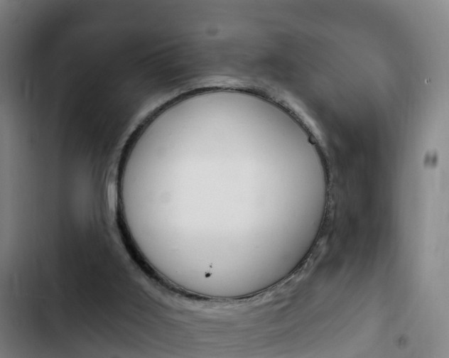 X0000103230011200808281001