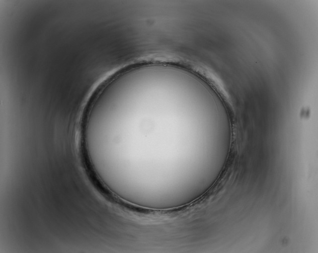 X0000103230012200808281001