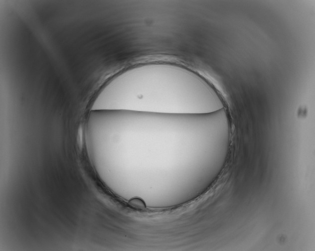 X0000103230013200808281001