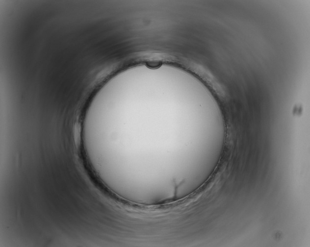 X0000103230014200808281001