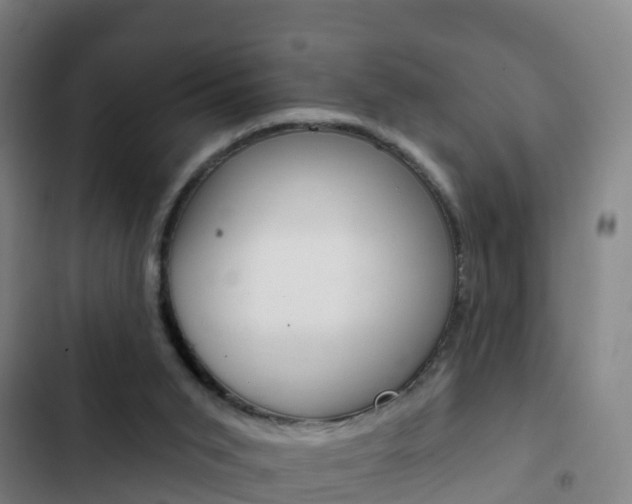 X0000103230015200808281001