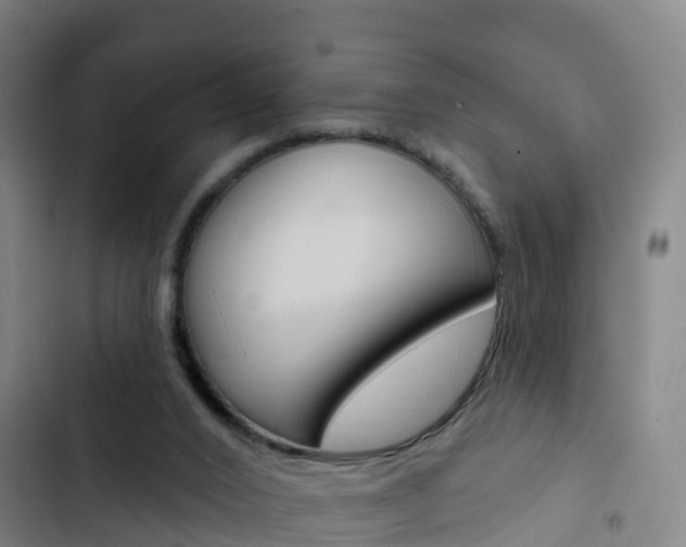 X0000103230016200808281001