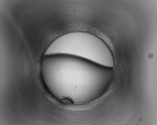 X0000103230017200808281001