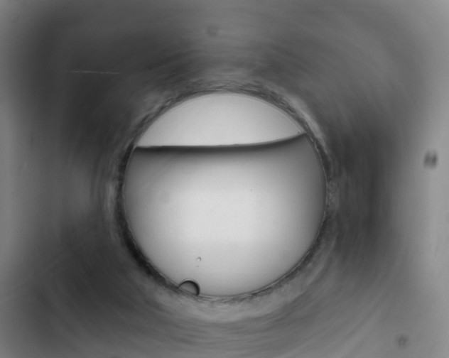 X0000103230018200808281001