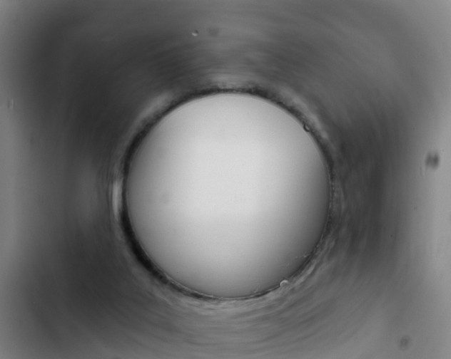 X0000103230019200808281001
