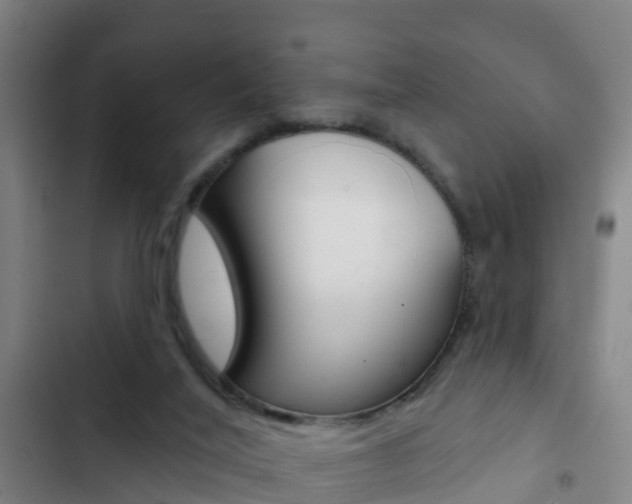 X0000103230020200808281001