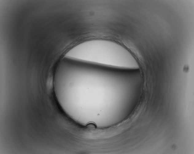 X0000103230021200808281001