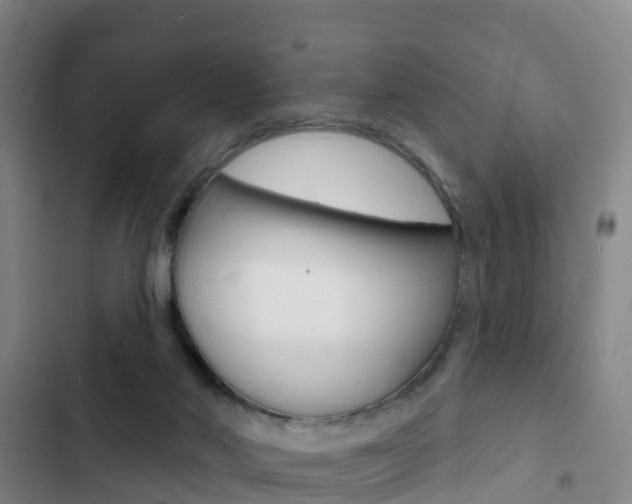 X0000103230022200808281001