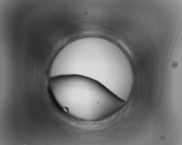 X0000103230023200808281000