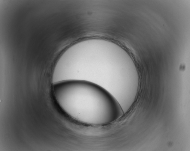 X0000103230024200808281000