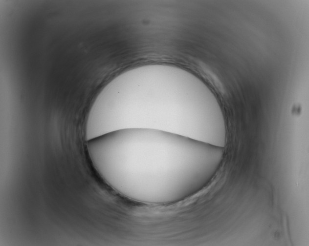 X0000103230025200808281000
