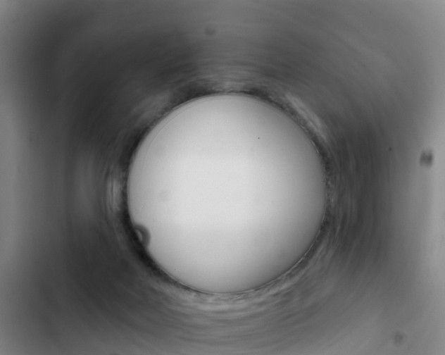 X0000103230026200808281000