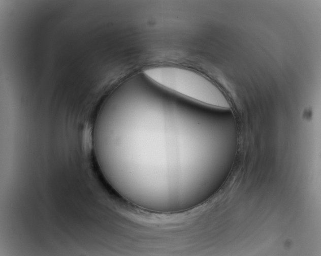 X0000103230027200808281000