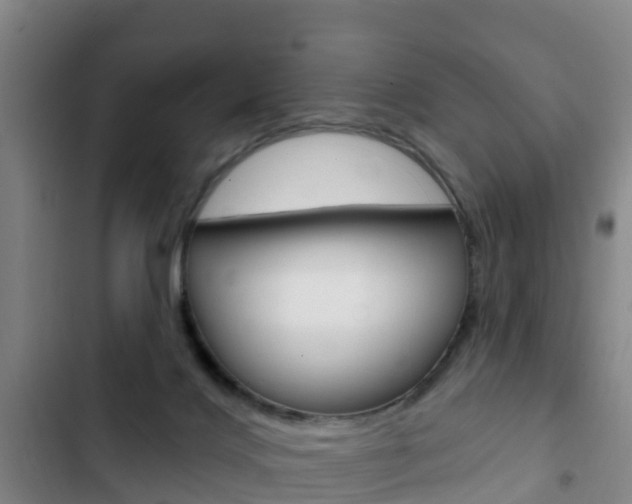 X0000103230028200808281000