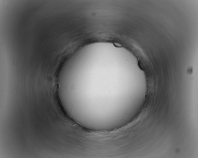 X0000103230029200808281000