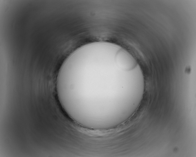 X0000103230030200808281000