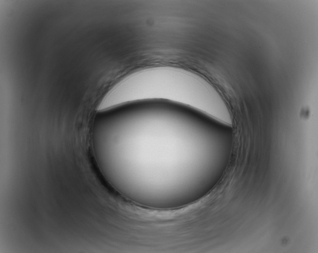 X0000103230031200808281000