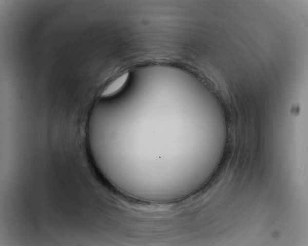 X0000103230032200808281000