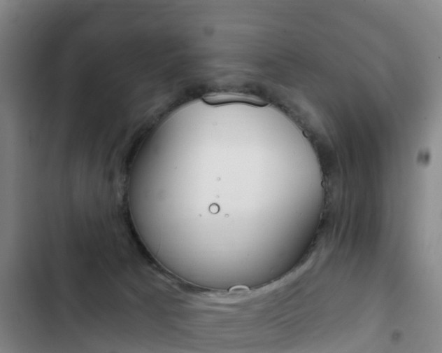 X0000103230033200808281000