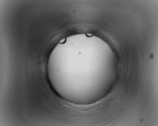 X0000103230035200808281000