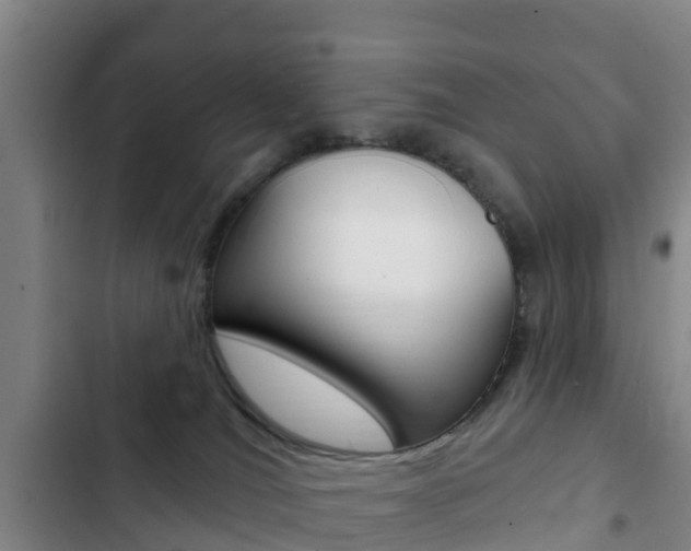 X0000103230036200808281000