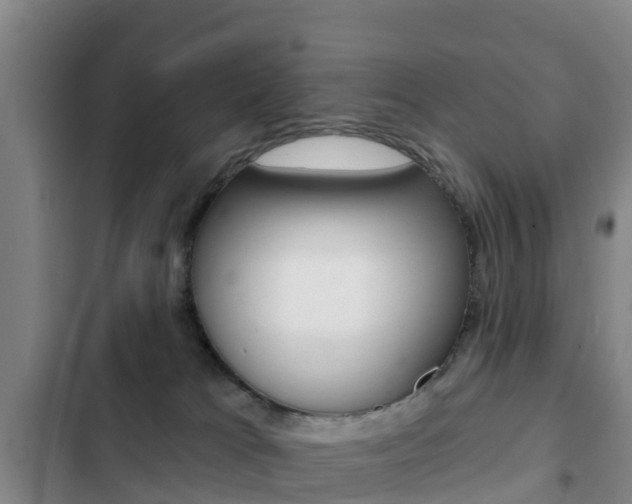 X0000103230037200808281000