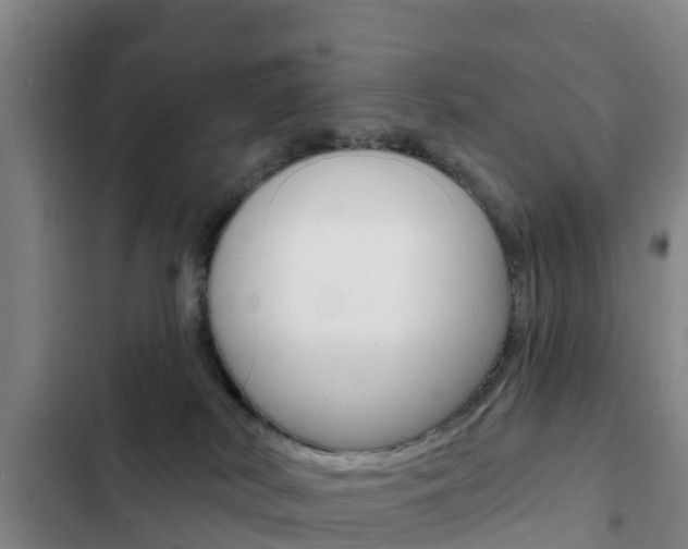 X0000103230038200808281000