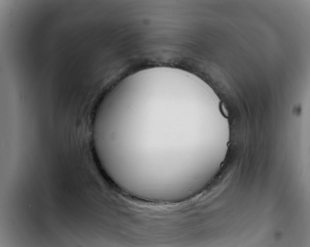 X0000103230040200808281000