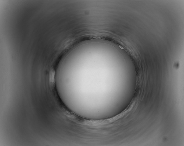 X0000103230041200808281000