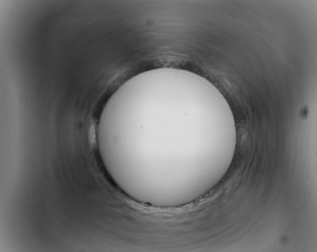 X0000103230042200808281000