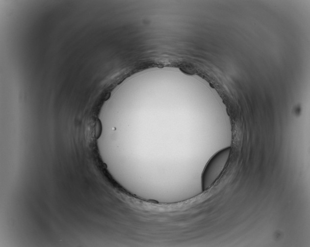 X0000103230043200808281000