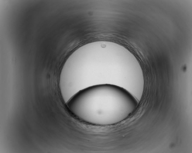 X0000103230044200808281000