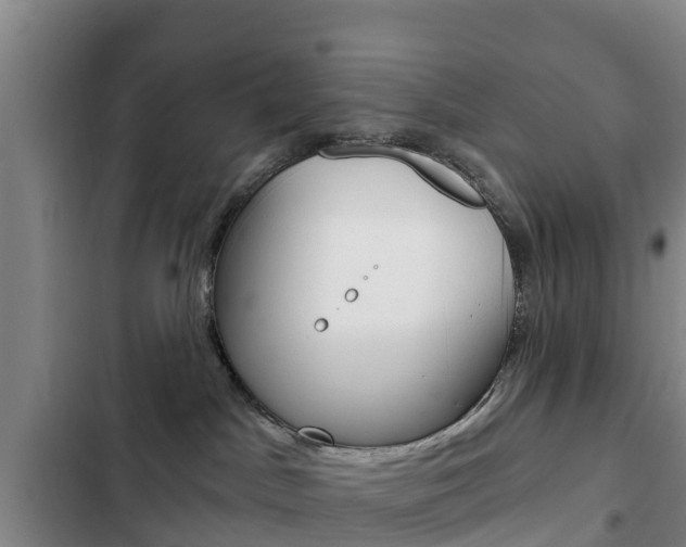X0000103230045200808281000