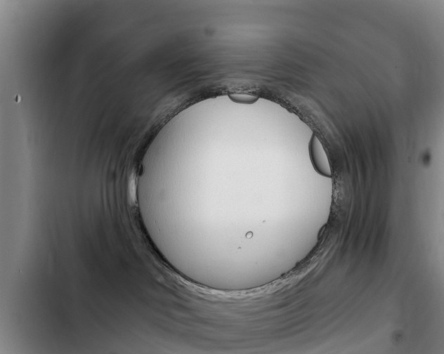 X0000103230046200808281000
