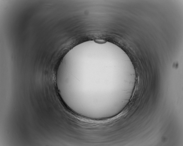 X0000103230048200808281000